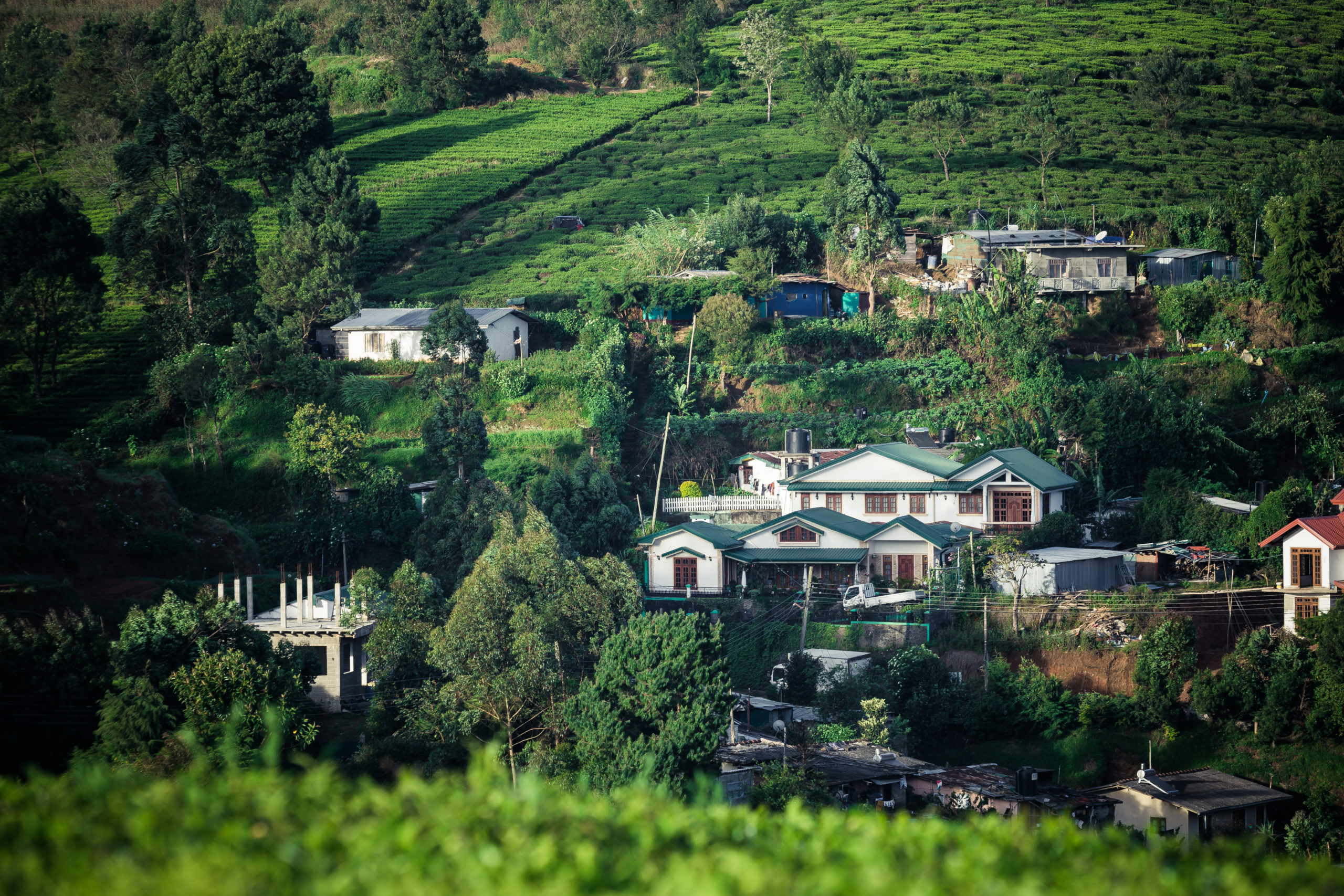 Picture of houses in Munnar