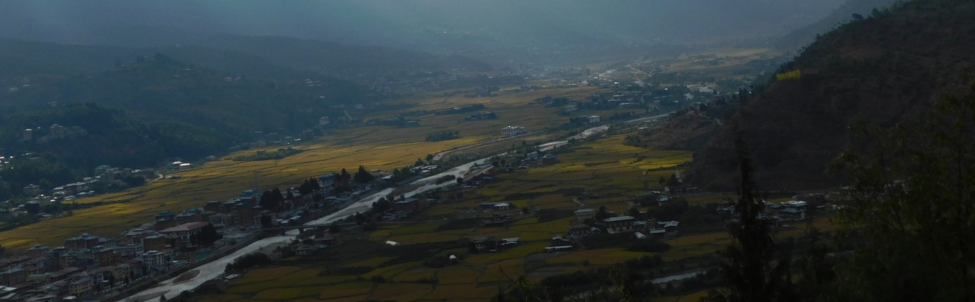 Picture of hills with houses in Paro