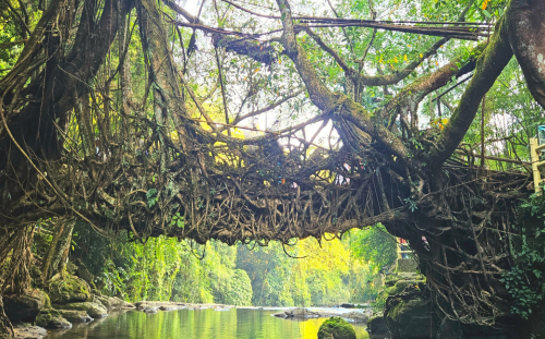 Cherrapunji, Meghalaya