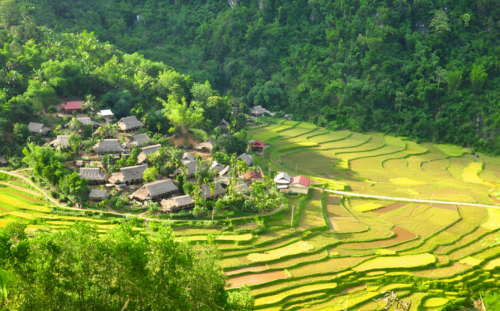 Pu Luong Nature Reserve Pu Luong Nature Reserve
