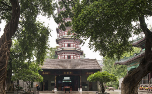 Six Banyan Trees Six Banyan Trees