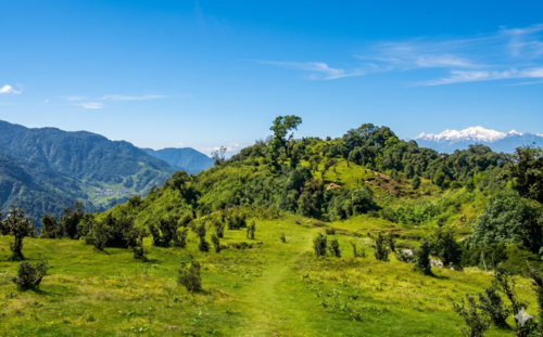 Trekking in Singalila National Park
