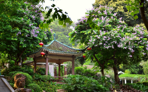 Yuexiu Park Yuexiu Park