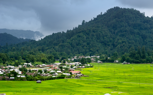 Ziro Valley, Arunachal Pradesh