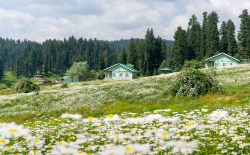 Yusmarg – Hidden Gem for Couples Yusmarg – Hidden Gem for Couples