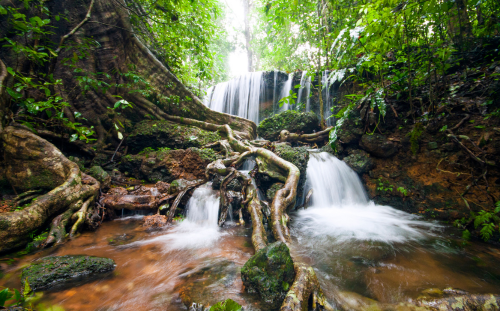 Agumbe, Karnataka