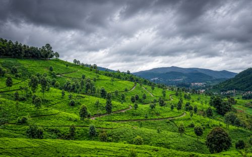 Kotagiri, Tamil Nadu Kotagiri, Tamil Nadu
