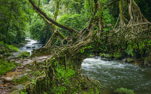 Shillong, Meghalaya