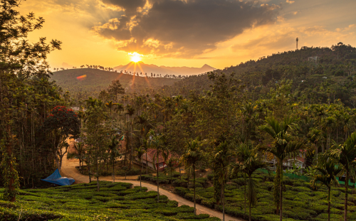 Wayanad, Kerala