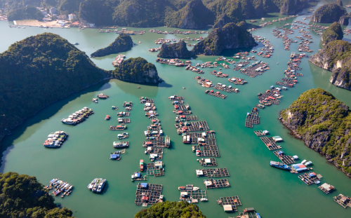 Cat Ba Island
