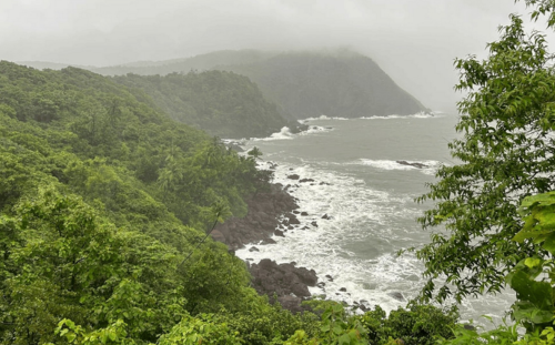 Goa Goa