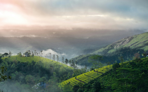 Kerala Kerala